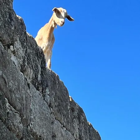 Casa De Aldeia בית נופש פנאפיל