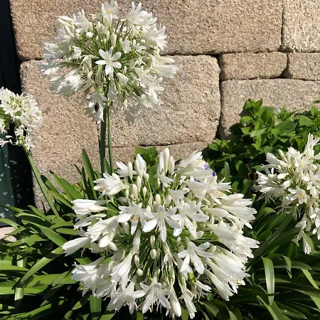 בית נופש Casa De Aldeia