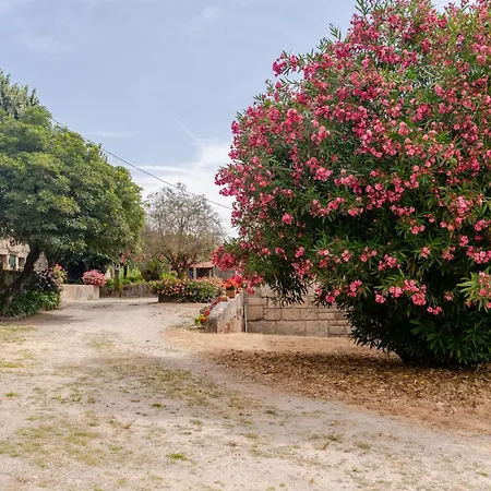 Сasa de vacaciones Casa De Aldeia