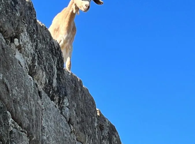 Casa De Aldeia Σπίτι διακοπών Penafiel