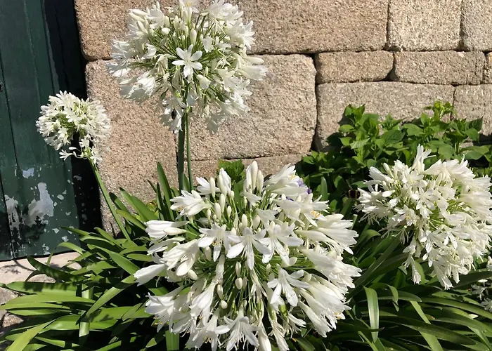 Prázdninový dům Casa De Aldeia